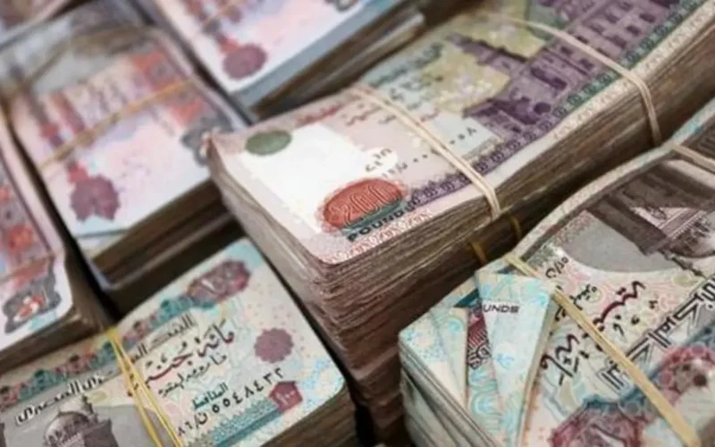 بالرقم القومي.. خطوات الاستعلام عن زيادة معاشات شهر فبراير 2026 قبل موعد الصرف